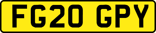 FG20GPY