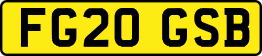 FG20GSB