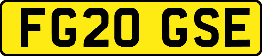 FG20GSE
