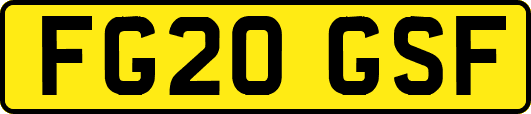 FG20GSF