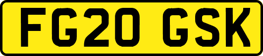 FG20GSK