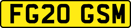FG20GSM