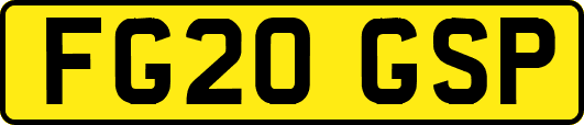 FG20GSP