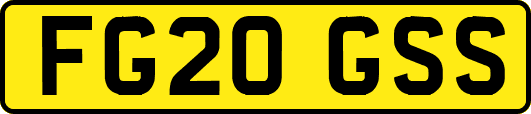 FG20GSS