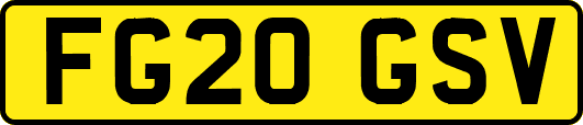 FG20GSV