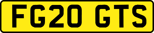 FG20GTS