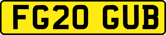 FG20GUB