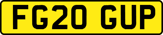 FG20GUP
