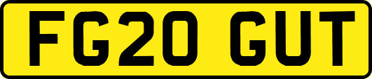 FG20GUT