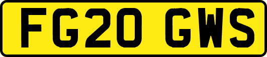 FG20GWS