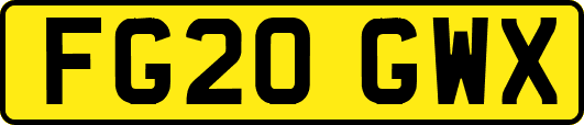 FG20GWX