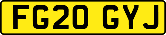 FG20GYJ