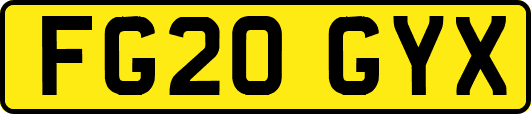 FG20GYX