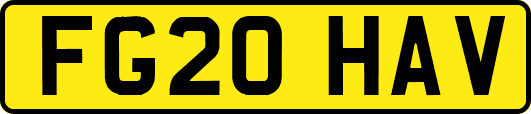 FG20HAV
