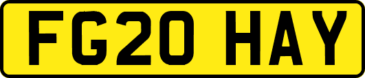 FG20HAY