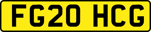 FG20HCG