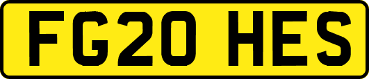 FG20HES