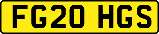 FG20HGS
