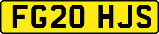 FG20HJS