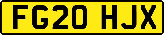 FG20HJX