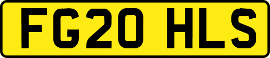 FG20HLS