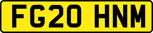 FG20HNM