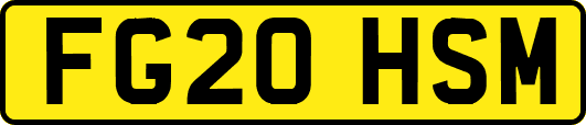 FG20HSM