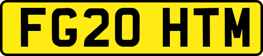 FG20HTM
