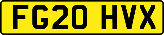 FG20HVX