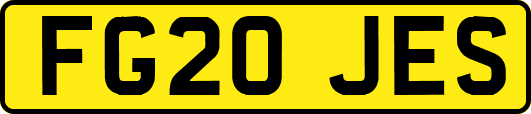 FG20JES