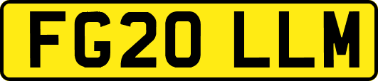 FG20LLM