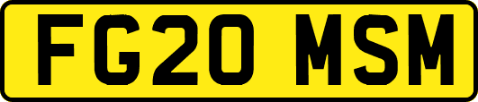 FG20MSM