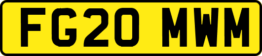 FG20MWM