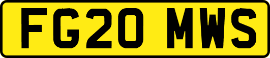 FG20MWS
