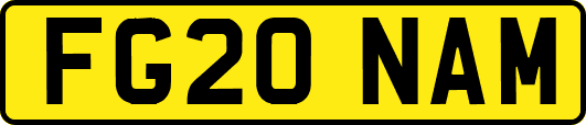 FG20NAM