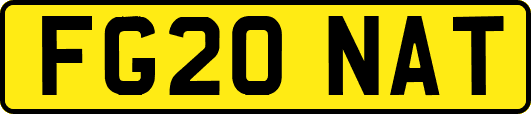 FG20NAT