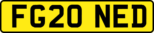 FG20NED