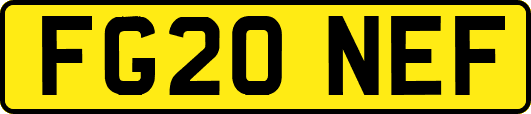 FG20NEF