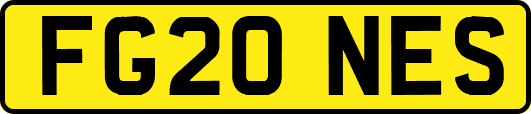 FG20NES
