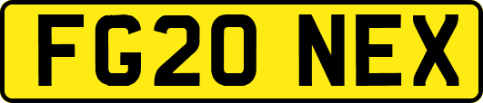 FG20NEX