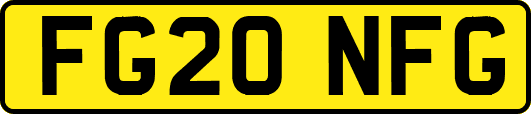 FG20NFG