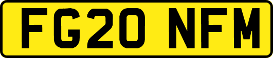 FG20NFM