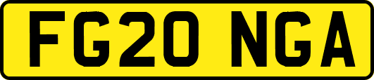 FG20NGA