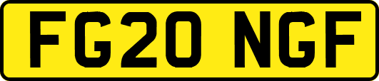 FG20NGF