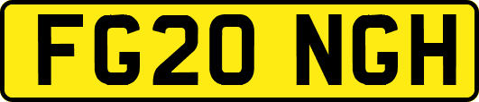 FG20NGH