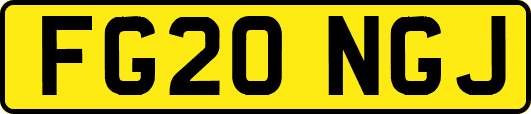 FG20NGJ