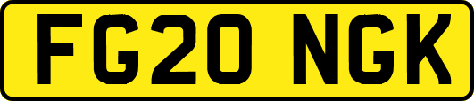 FG20NGK