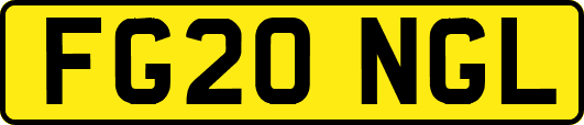 FG20NGL