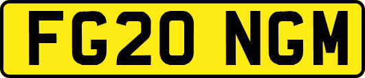 FG20NGM