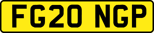 FG20NGP